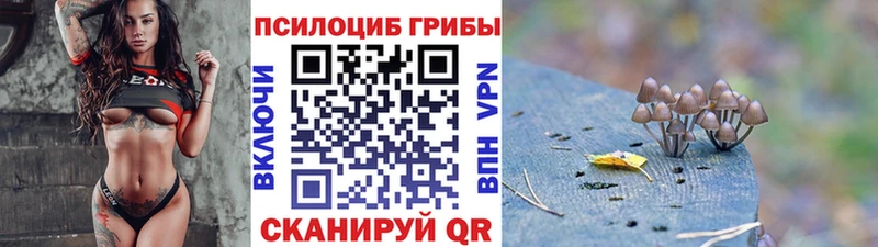 наркотики  Ростов-на-Дону  Галлюциногенные грибы MAGIC MUSHROOMS 