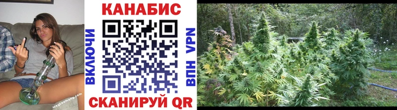 Бошки марихуана Bruce Banner  Ростов-на-Дону 